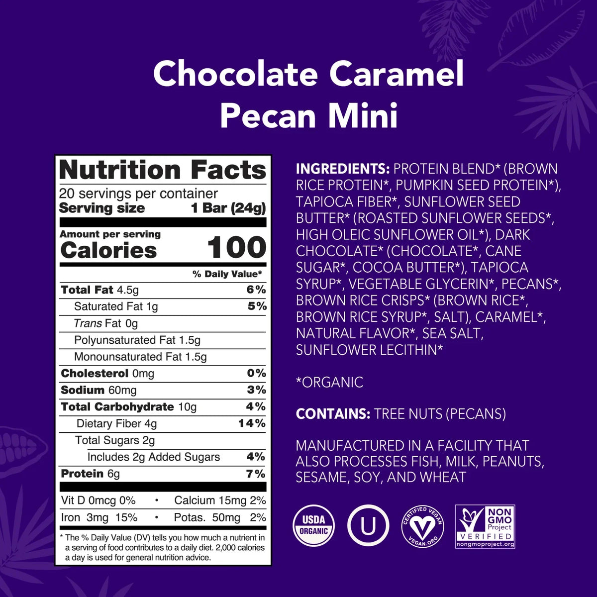 Chocolate Caramel Pecan - Mini Bars - Plant-Based Fuel for Busy Days D9